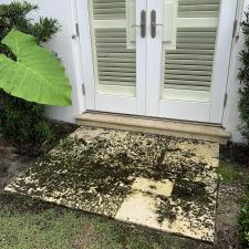 Patio-Walkway-Cleaning-in-Palm-Beach 5